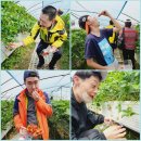 명훈농장 이미지