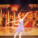 대구경북발레페스티벌 이미지