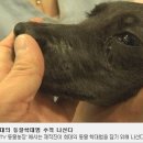 서명농장 이미지