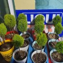 코끼리셀프세차타운 이미지