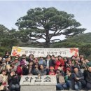 서림동-46 이미지