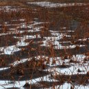 경자농장 이미지