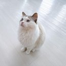 솔빈 마루 이미지