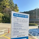 빅픽처6(Big Picture6) | 부산 공연 추천 창작 코미디 뮤지컬 미스터마담 후기 (ft.빅픽처스테이지)