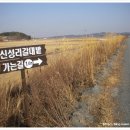 갈숲마을 이미지