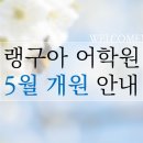 랭구아어학원
