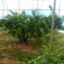 오세열농장 이미지