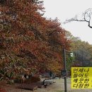 이미자농장 이미지