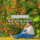 CU 영동양산점 | 뚝섬 한강공원 능소화 실시간 개화 현황 위치 총정리