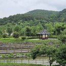 김화중학교 | 쉬리와 다슬기로 재무장 된, 꽃보다 아름다운 ‘화강(花江)’. DMZ 평화의길 17코스(남대천교-와수리...