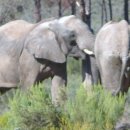 허니문2 이미지