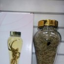 송라마을 이미지