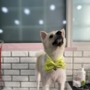 봉구랑 도도 이미지