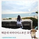 오션파라다이스(봉6) | 해운대 파라다이스호텔부산 씨메르 야외수영장 피트니스 내돈내산 상세후기