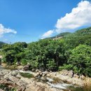콜펜션 | 강원도 화천 콜펜션 계곡 옆 가족여행 군부대 면회 산천어축제 숙소 추천