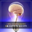 푸디