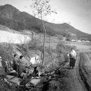 정겨운마을 이미지