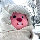포동 이미지