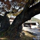 지내원당로 네이버블로그