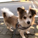 아키포인트 이미지