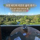 365힐링센터 | 파드마 리조트 우붓 프리미어 킹 후기 | 인피니티풀, 조식, 헬스장, 산책,셔틀