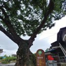 고산복지매장 이미지