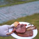아이랑 평창여행 휘닉스파크 한우 캠핑 BBQ 가격 예약 꿀팁 (블루동 객실 후기)