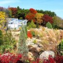 마당이수목원(느티나무동) | “400년 느티나무 아래 가을빛으로 물들다” 성주 회연서원 가을 단풍 명소