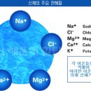 힐동물병원 이미지