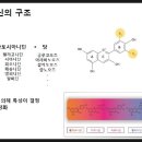 대신슈퍼2 네이버블로그