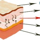뉴맨남성의원 이미지