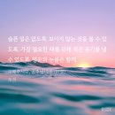 은원농장 | 그간 읽은 로판들