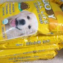 냥이멍이세상 이미지