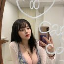 세딘