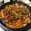 햇살마루청둥오리 이미지