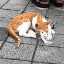 금당로124번길 이미지