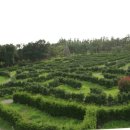 메이즈랜드 이미지