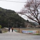 수정초 법주분교 이미지