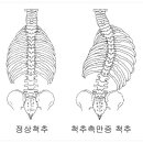 소리청자성당한의원 이미지