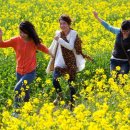 기초튼튼 여행영어 이미지