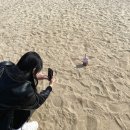 옥이네통닭 이미지