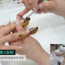비에이튜터