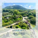예쁘게즐겁게 | [제주2주살기] 제주시 아이랑 가볼만한 곳 메이즈랜드 5세7세 방문후기
