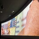 청도소싸움미디어체험관 | 대구 근교 청도 여행코스 추천 아이랑 가볼만한곳 “청도 소싸움 미디어체험관” 내돈내산 후기