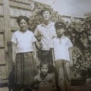 태양여인숙 이미지