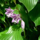 강동-천호-391 이미지