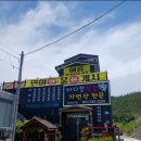 신호등횟집