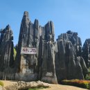 석림4로 이미지