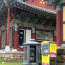 완도 신흥사 목조약사여래좌상 이미지