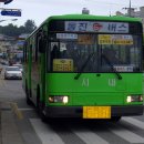 동진버스 Daum카페